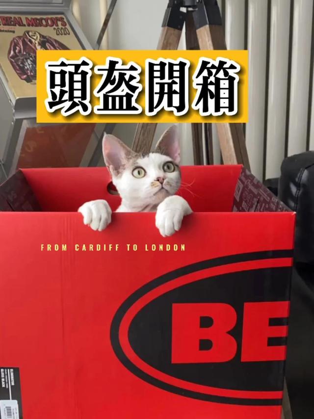 Bell头盔开箱 同一个品牌的第四顶了🛵