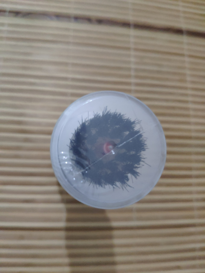 立白衣物清洁
