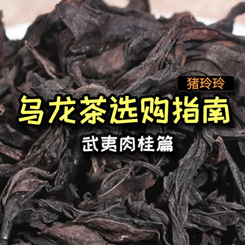 肉桂是红茶还是乌龙茶？了解一下肉桂，武夷岩茶的当家花旦