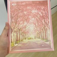 拜尔X3/X304 