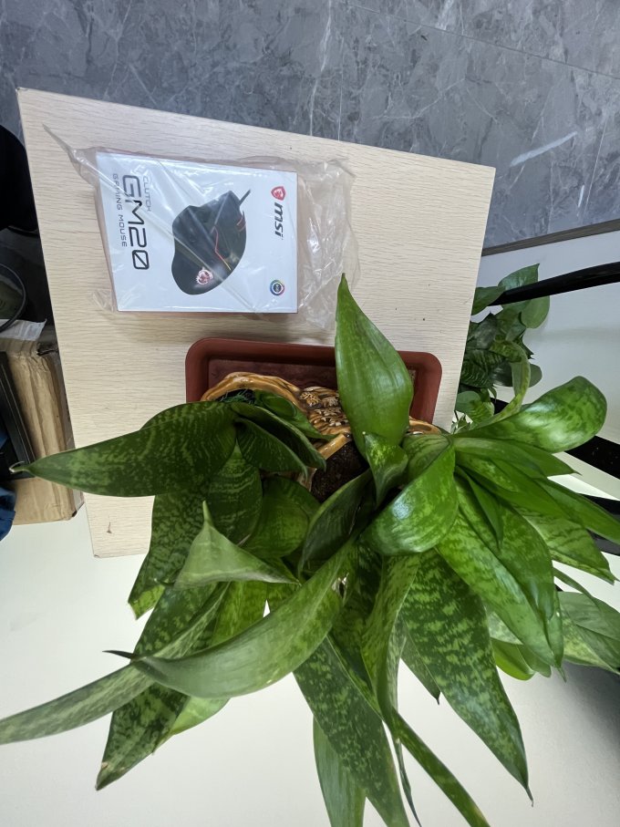 微星鼠标