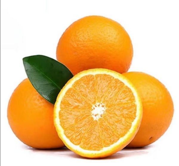 新鲜云南冰糖橙 橙子 ，甜过初恋