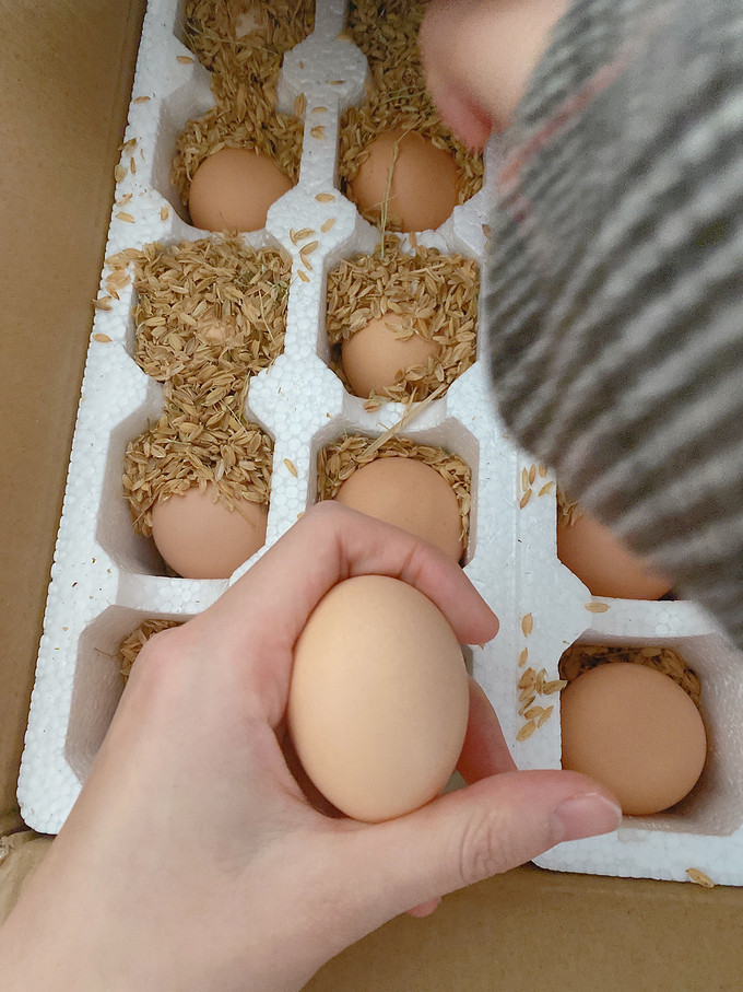 蛋类
