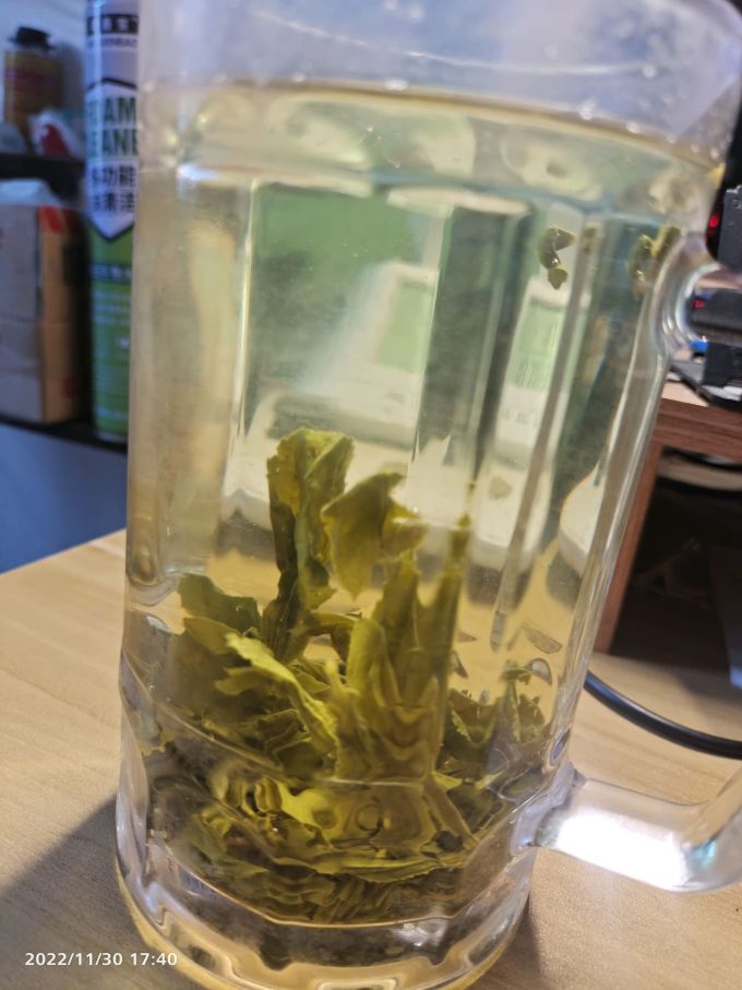 贡苑绿茶