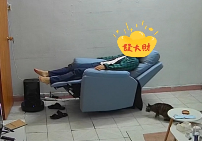 龙猫先森沙发