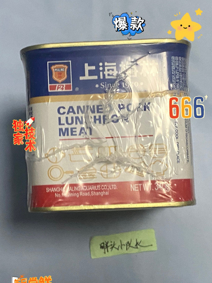 梅林B2肉类罐头