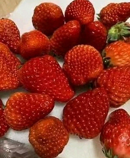 冬天也可以吃到如此新鲜的草莓