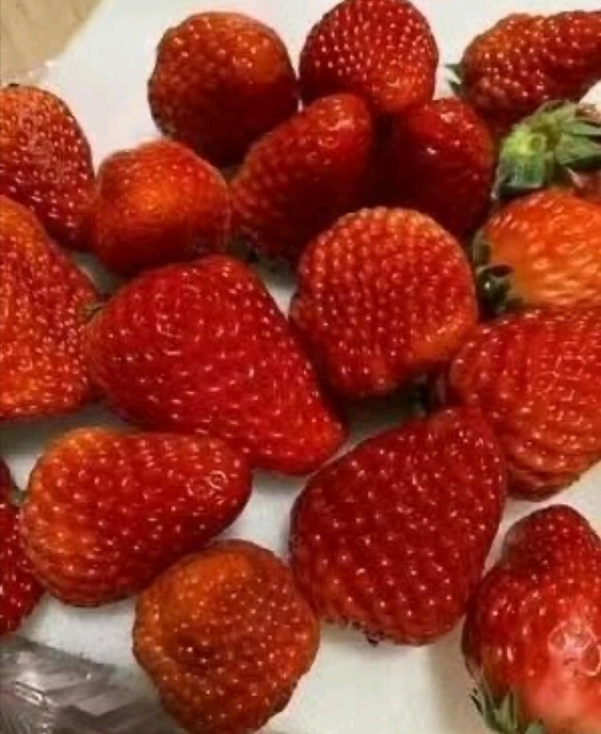 好媛好宇草莓