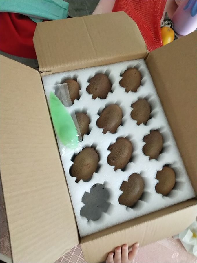 猴王徐香奇异果/猕猴桃