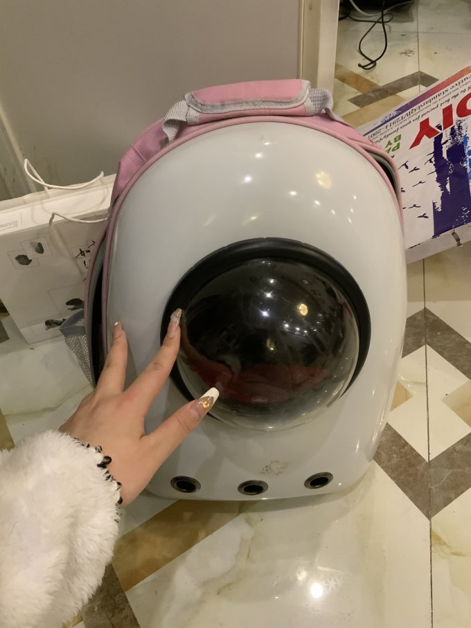 宠觅宠物出行装备