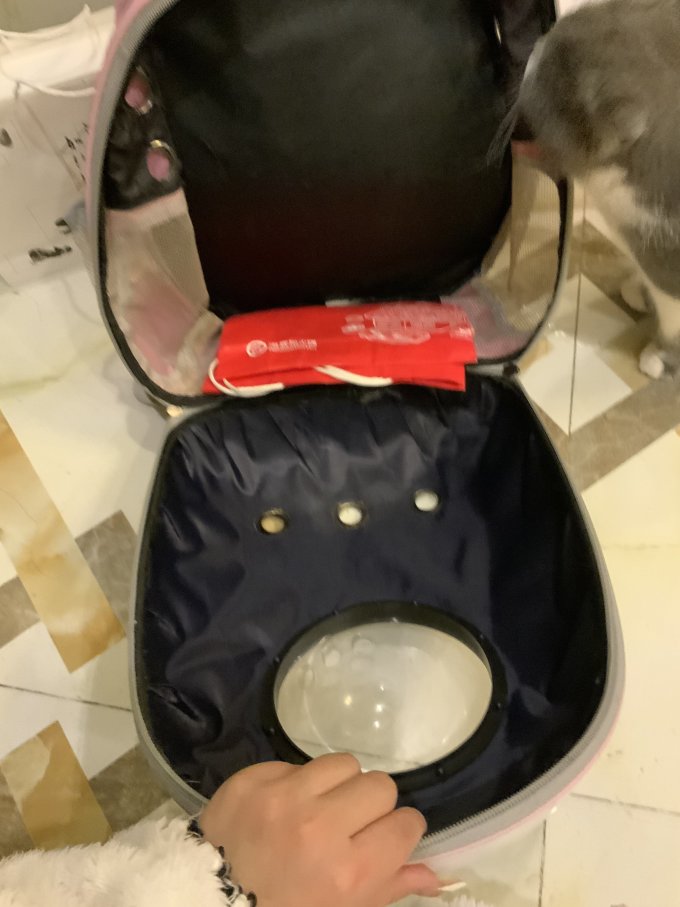 宠觅宠物出行装备