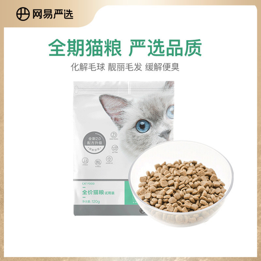 养猫前需要准备哪些东西？