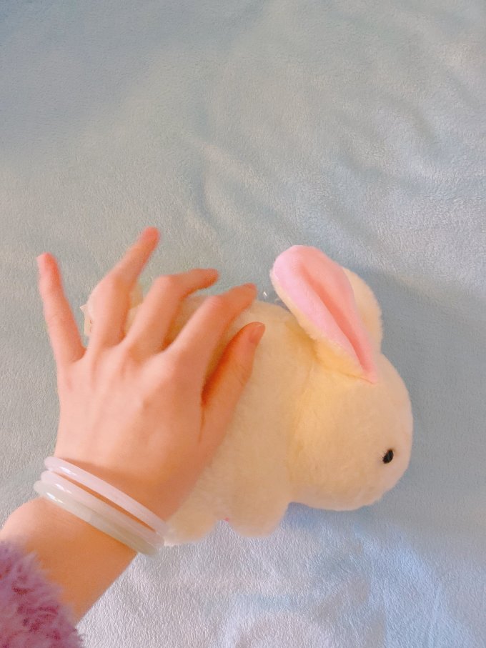 特鲁迪毛绒布艺