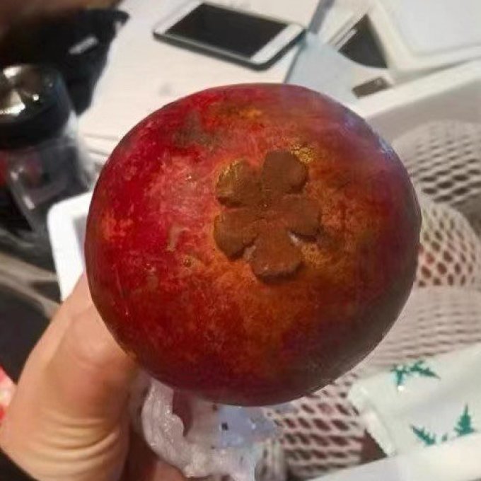 漫哆味其他水果