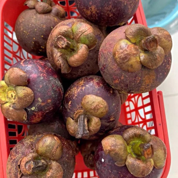 漫哆味其他水果