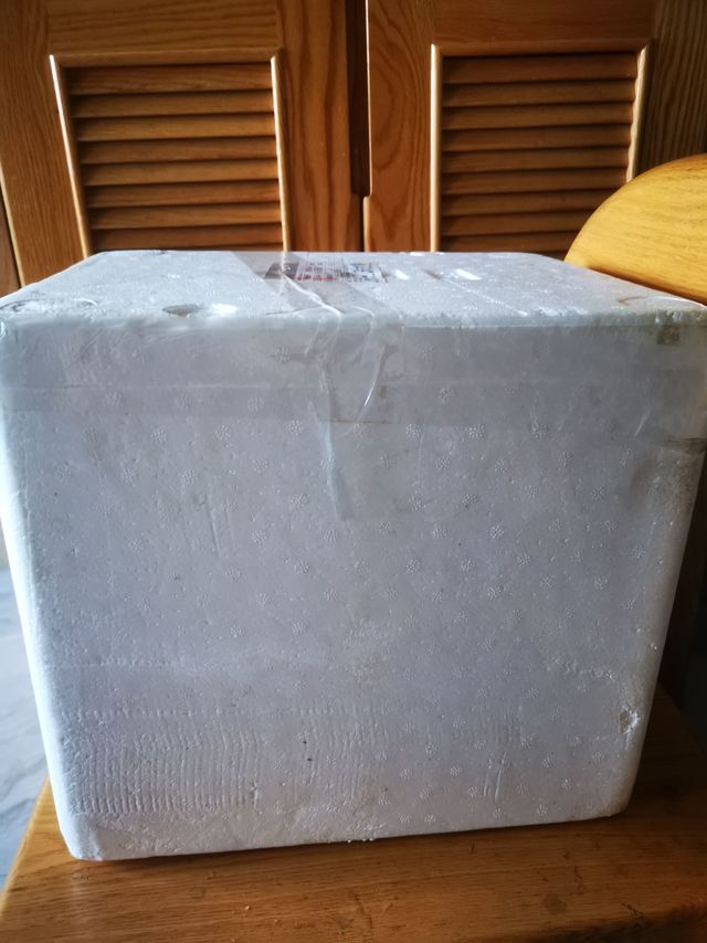 还不错的牛子健