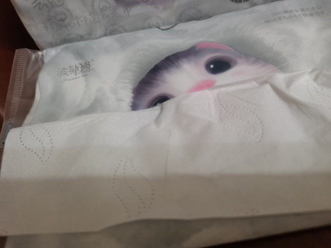 波斯猫棉柔巾