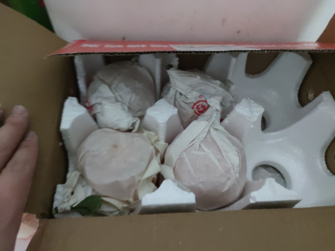 联承橙子