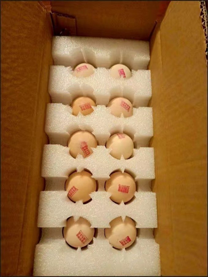 固墙珍珠蛋蛋类