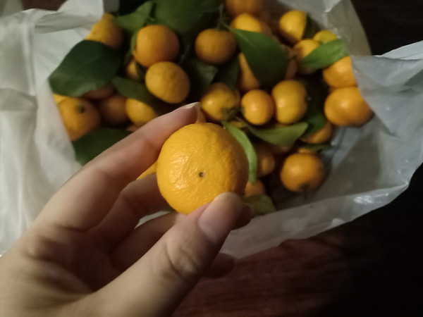 到了冬天吃橘子的时候啦