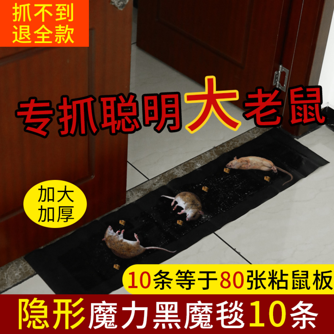 一晚上与老鼠大战三百回合,终于还是靠这个逮住了它----劳动人民的智慧是无穷的!