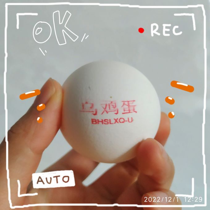 蛋类
