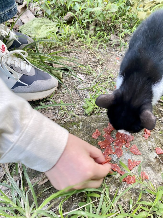 三只松鼠猪肉类