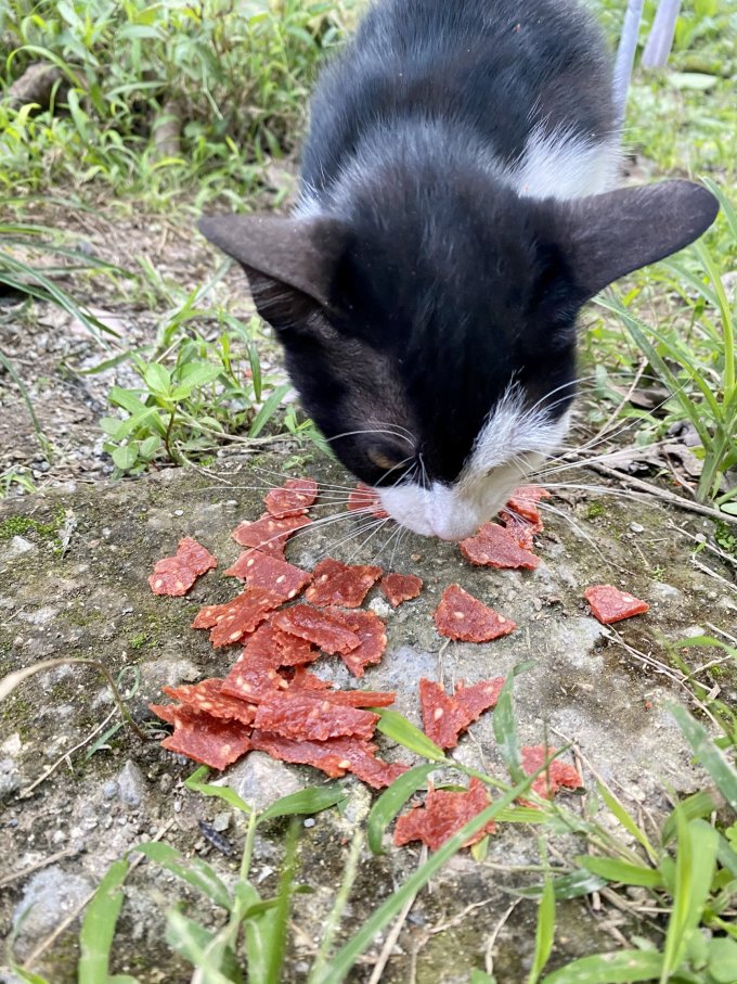 三只松鼠猪肉类