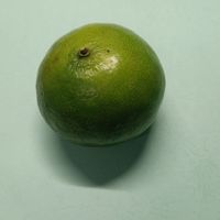 带着清甜的皇帝柑