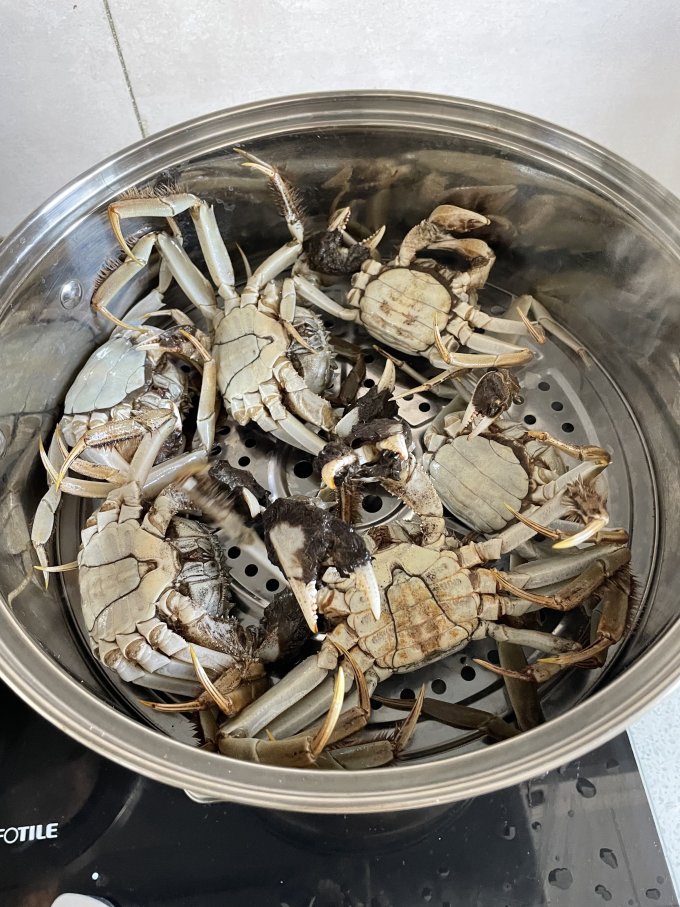 盘家人蟹类