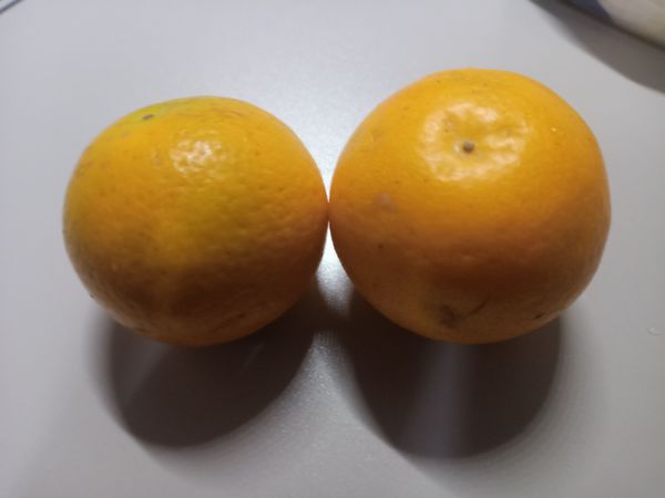 脐橙皮薄肉厚果香甜味美