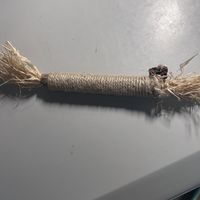 幼猫换牙必备磨牙棒