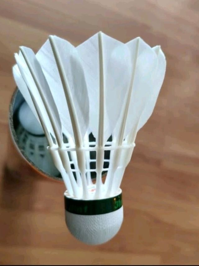 羽毛球🏸