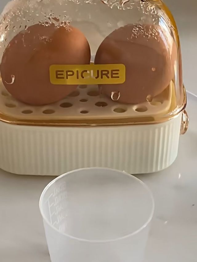 早餐的小帮手，小功率迷你蒸蛋器!