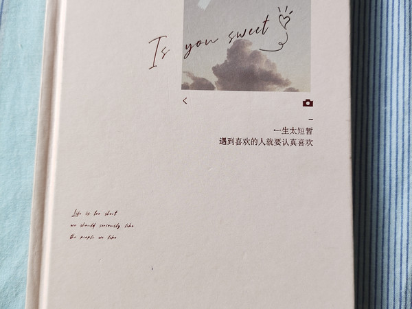 高颜值文艺手账本