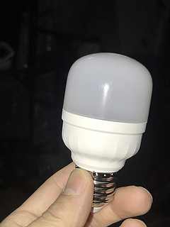 广东最知名的灯具品牌，佛山照明LED灯泡