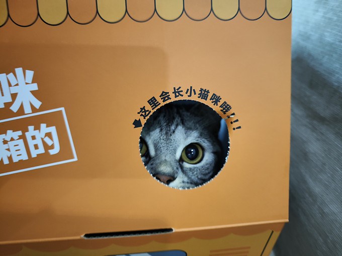 爱沃克猫咪驱虫