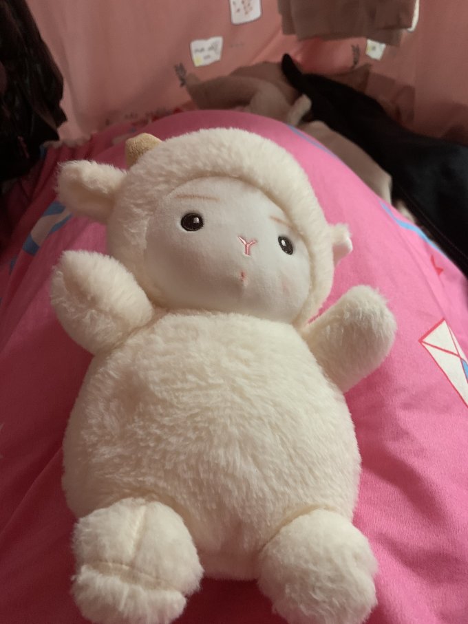 毛绒布艺
