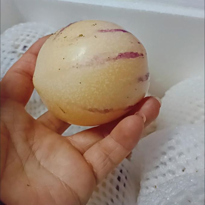 新鲜水果
