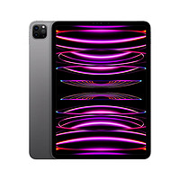 Apple【教育优惠】iPadPro11英寸2022款(128GWLAN版/M2芯片Liquid视网膜屏/MNXD3CH/A)深空灰色