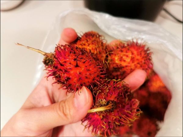 酸甜可口的“毛荔枝”
