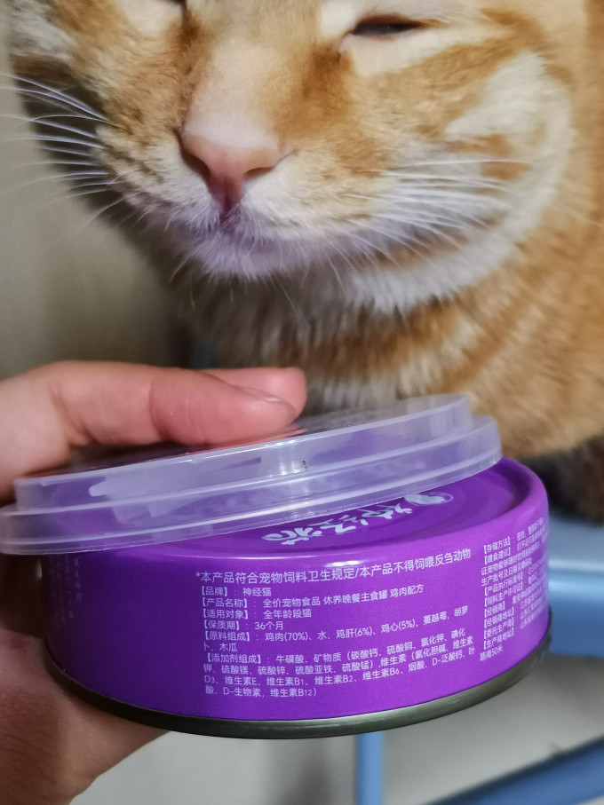 神经猫猫粮