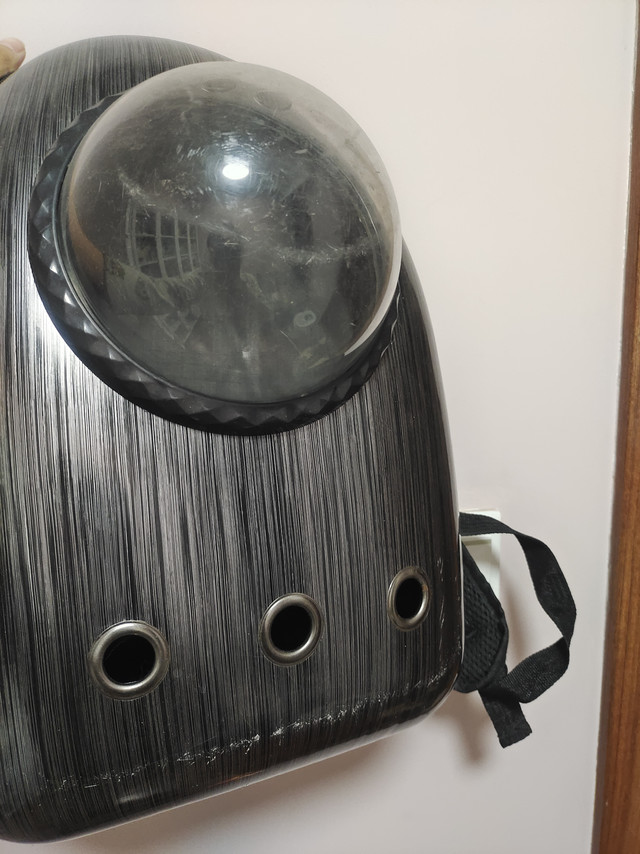 千万不要买这种猫包……