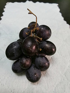 爱吃葡萄的人买到新鲜的葡萄真的会开心！
