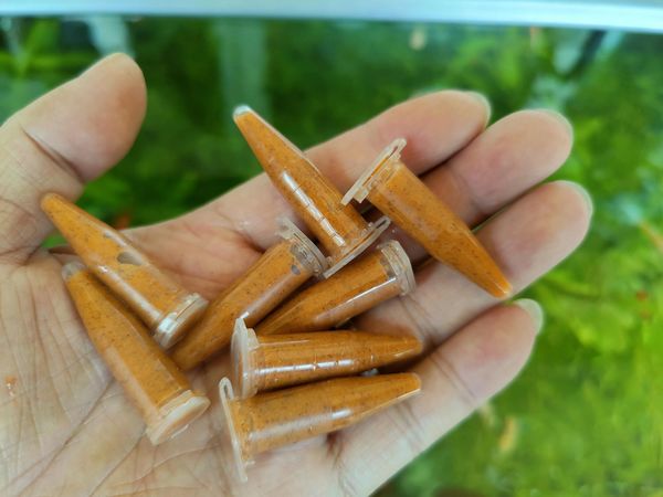 冷冻鱼食的营养成分流失严重吗？别想当然