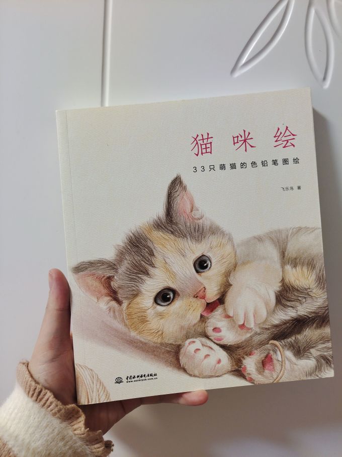 流行娱乐
