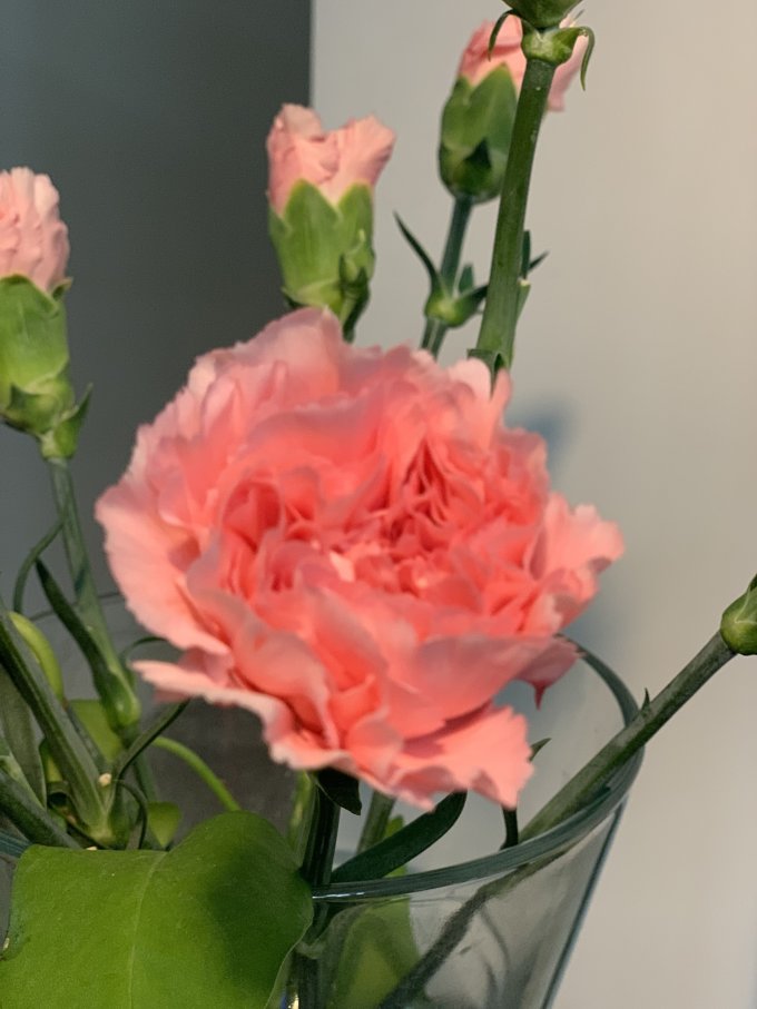花点时间鲜花