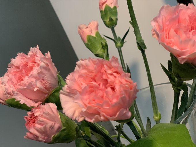 花点时间鲜花