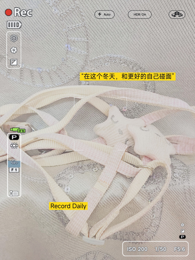 胸背牵引/项圈