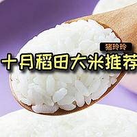 十月稻田哪款米好吃？试试这几款，近期好价，值得冲一波